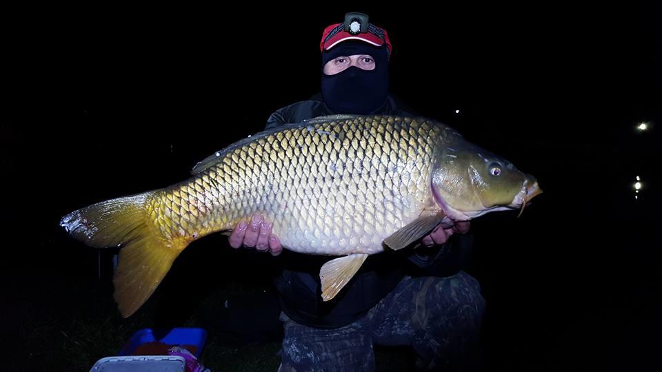 Moara Vlasiei 2  - mv 2   31 03 2016   solubile senzor 1016  12,300 kg
